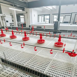 Floor System – Durable, Hygienic, And High-Strength Flooring For Poultry Farms