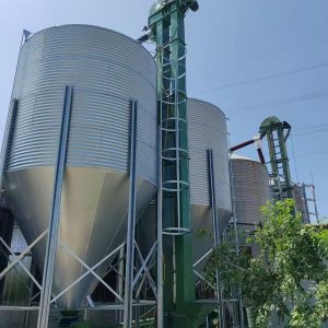 Efficient & Durable Feeding Systems For Optimal Poultry Growth