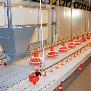 Customizable automatic broiler floor raising system poultry farm equipment