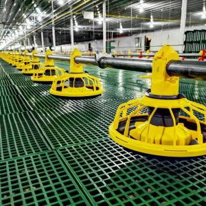 Broiler farm equipment floor breeding system with plastic Flat noodles