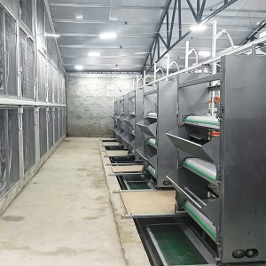 Poultry breeding cage, meat, egg, chicken, feces cleaning system