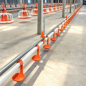 Broiler Water Line System – Automatic Nipple Drinker for Poultry House