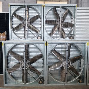 Poultry House Exhaust Fan | Ventilation System for Chicken Farms | Durable Axial Fan