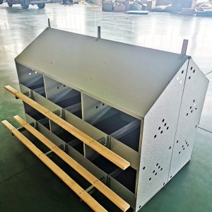 Double-Layer Nesting Box for Layer Poultry Farming | Egg Collection System