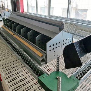 Broiler Breeder Chain Feeding System – Automatic Chain Feed Line for Separate Male/Female Feeding, Uniform Intake