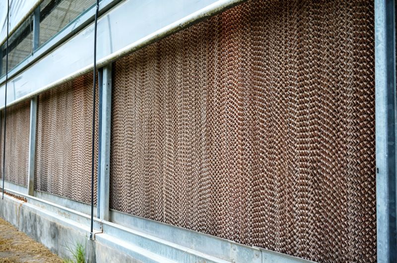 Why Poultry House Cooling Pads Underperform in Summer: Common Causes and Optimization Strategies for Better Heat Stress Control