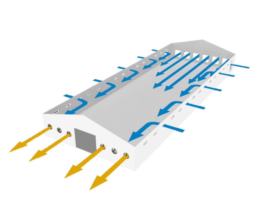 Tunnel Ventilation vs Longitudinal Ventilation in Poultry Houses: How to Select the Right Airflow System for Different Farm Designs