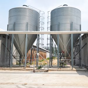 Poultry Feed Silo for Chicken Farms | Galvanized Feed Storage Tower