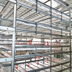 Automatic Chicken Cage Unloading System | Poultry Cage Harvesting Equipment