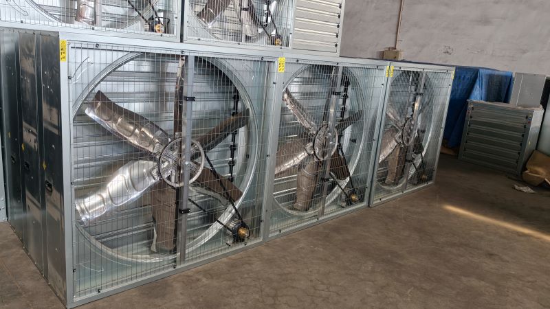 How Variable-Speed Poultry Fans Reduce Energy Use Without Compromising Cooling Performance