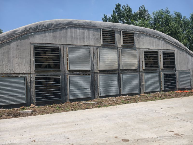 Poultry Fan Noise Suddenly Increases? 3-Step Troubleshooting Guide