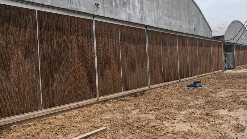 How Do Poultry House Cooling Pads and Exhaust Fans Work? Understanding Evaporative Cooling in Summer